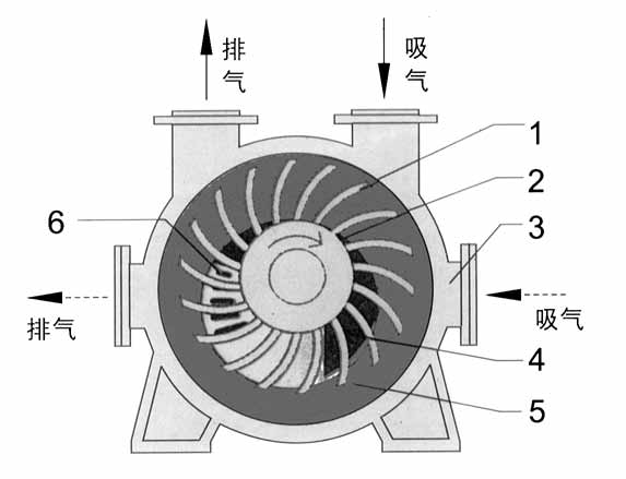 2BE1水环式亚新注册网站结构图